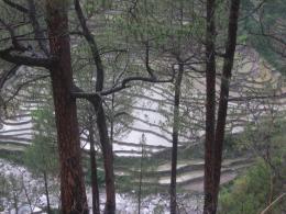 Irrigation. uttrakhand, India